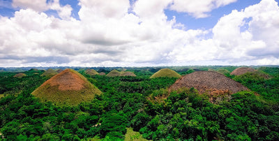De la terre de Bohol à votre tasse