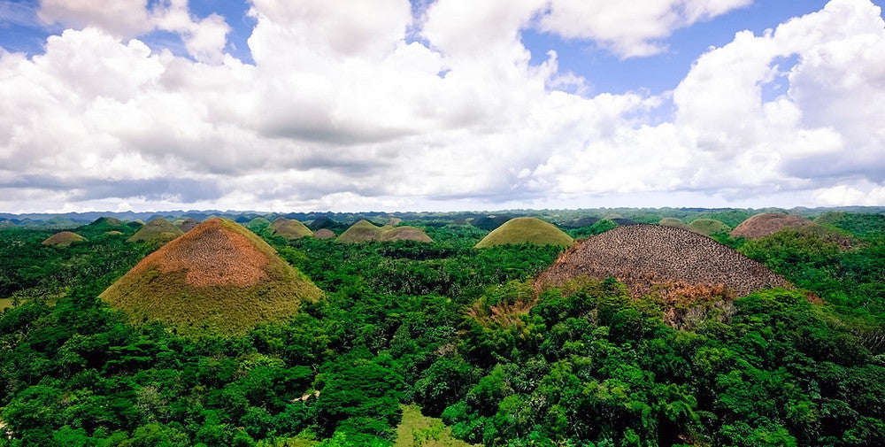 De la terre de Bohol à votre tasse : voyage au cœur de l'Ube philippin